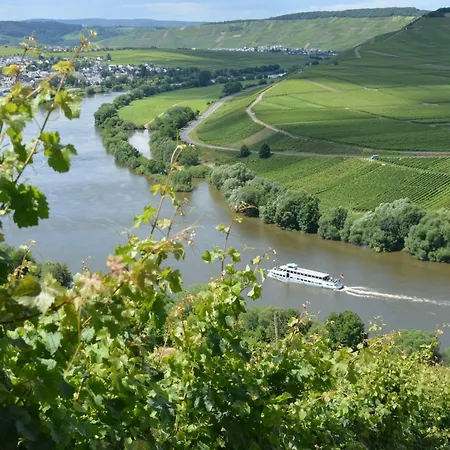 Weingut***pension Guenther Scholtes Leiwen